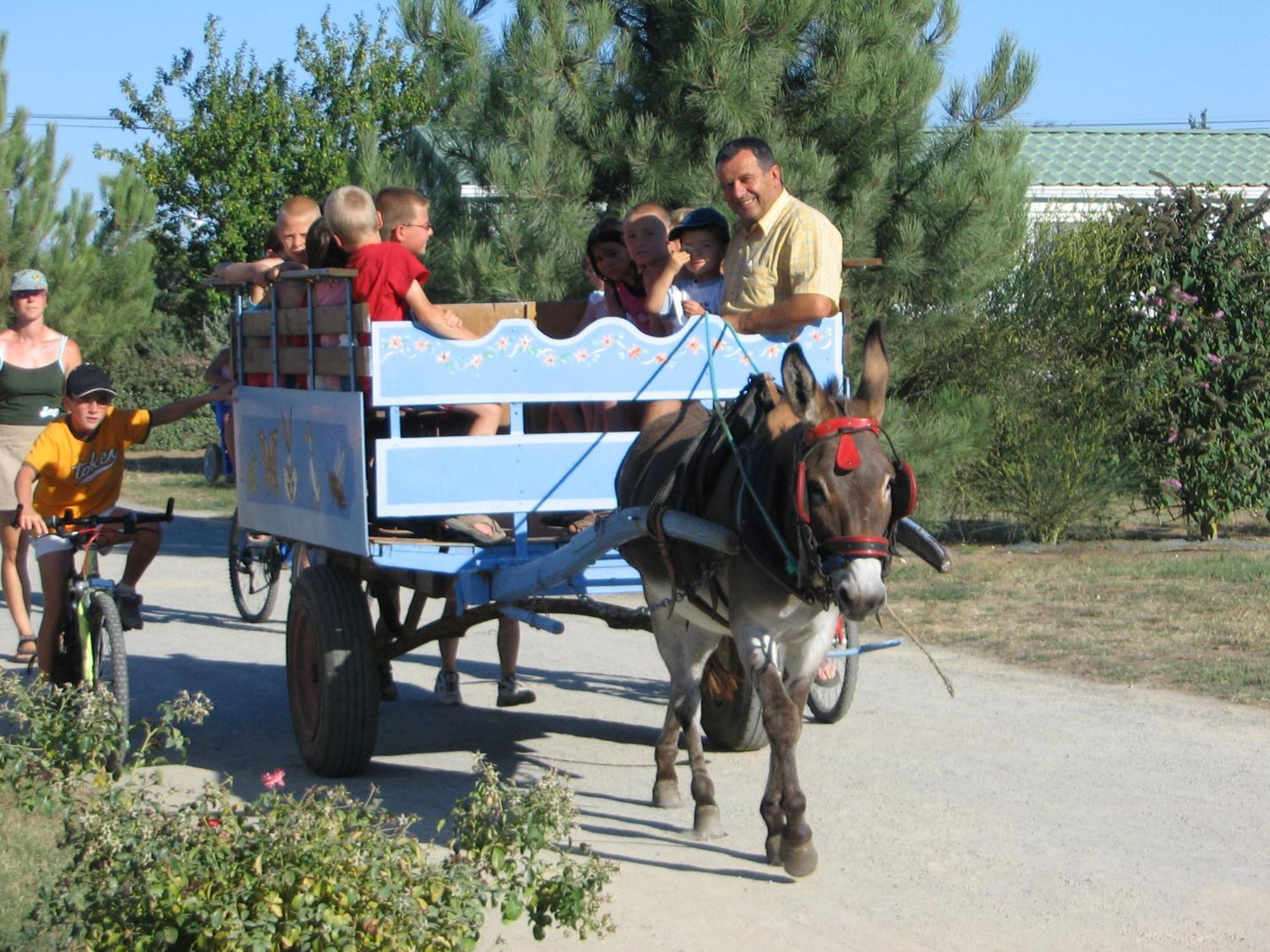 Camping Le Ragis Challans Exterior foto